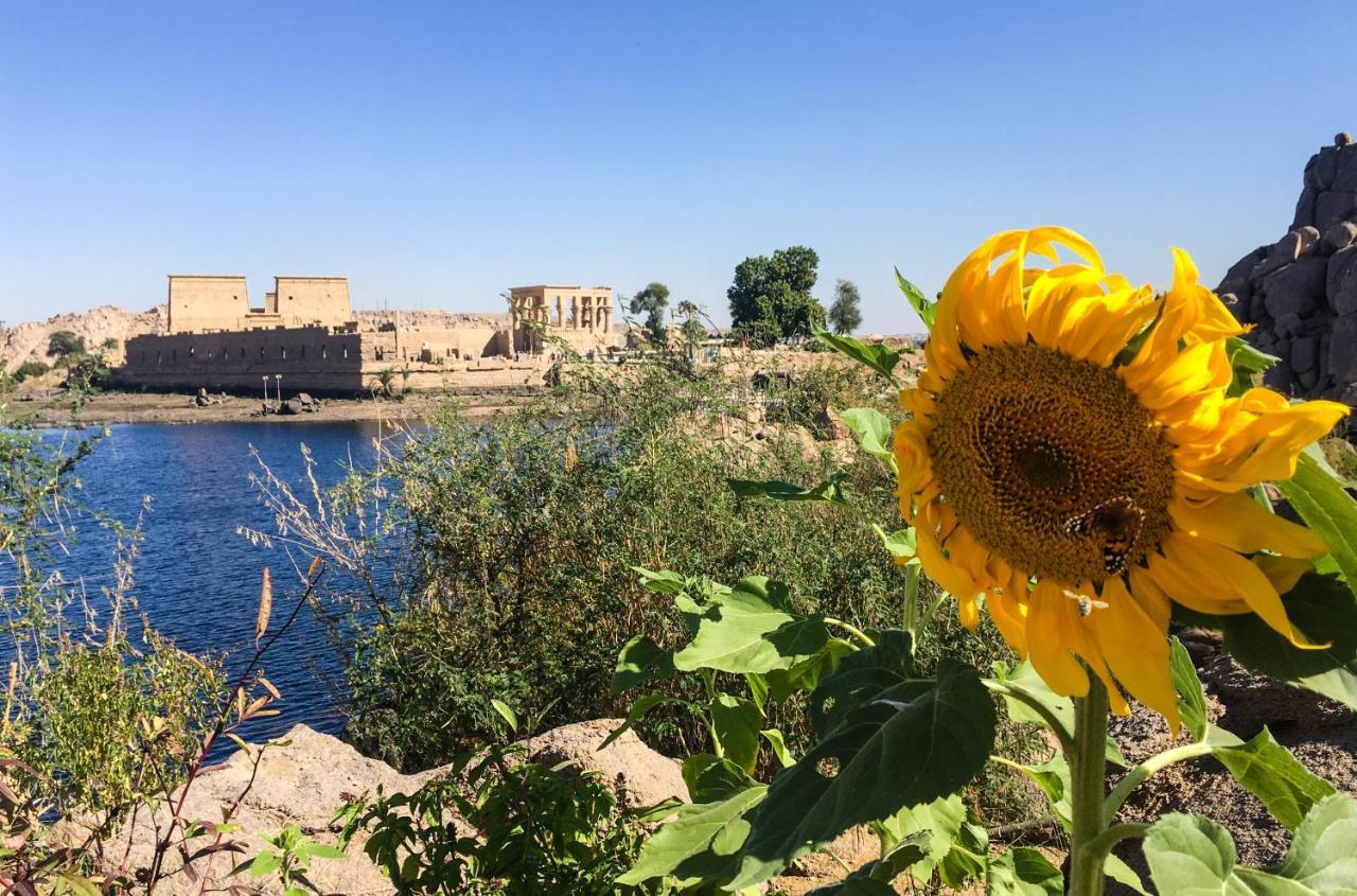 Eco Nubia Villa Asszuán Kültér fotó
