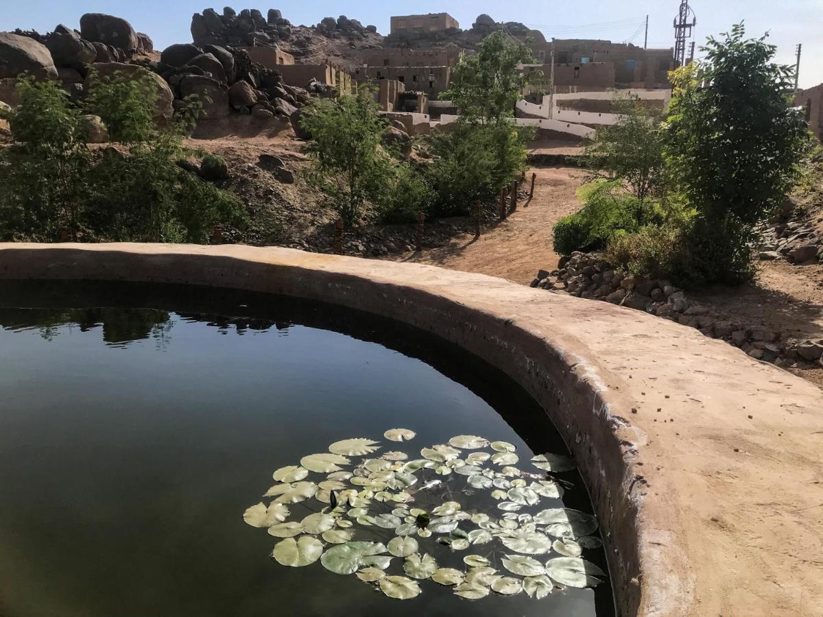 Eco Nubia Villa Asszuán Kültér fotó