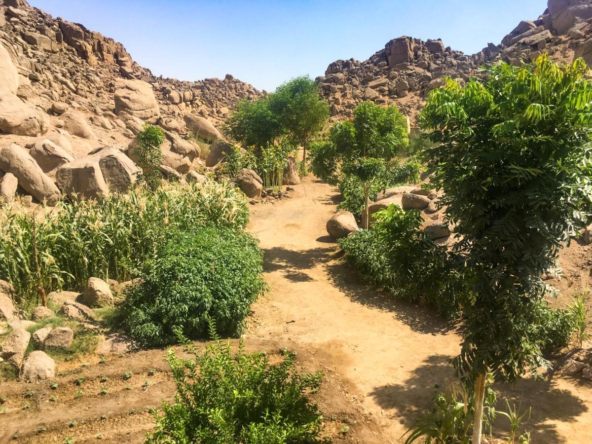 Eco Nubia Villa Asszuán Kültér fotó