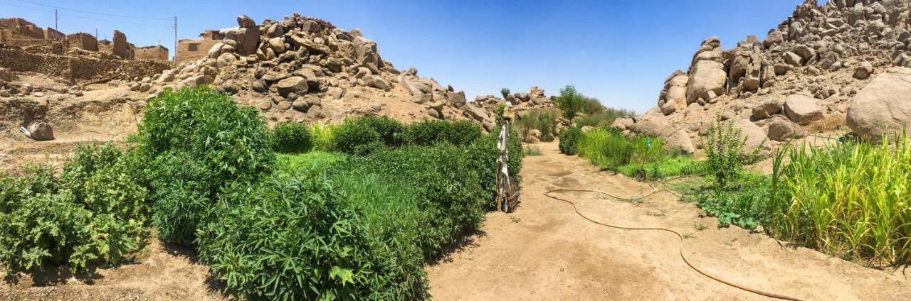 Eco Nubia Villa Asszuán Kültér fotó